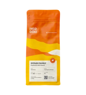 Syoum Family <br> Guji Natural